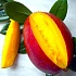 Чем полезен манго?