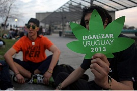 Уругвай легализовал марихуану