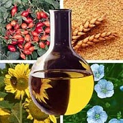 Жиры хорошие и плохие