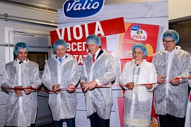 Полный ассортимент плавленых сыров Viola теперь производится в России