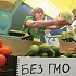 «с ГМО» и «без ГМО» - теперь обязательно для всех продуктов