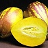 Пепино