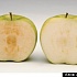 Всегда свежее яблоко – ГМО-новинка