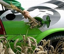 Производство биотоплива ведет к дефициту продовольствия