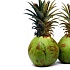 Ананас со вкусом кокоса – новинка из Австралии