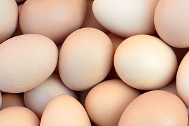 Ученые рассказали, с чем нельзя есть яйца