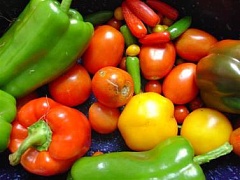 Овощи предохраняют от панкреатита