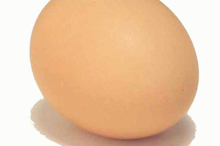 Приснилось яйцо