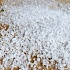 Каменная соль и другие виды соли