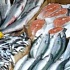 Развитие рыбной промышленности в Мурманске