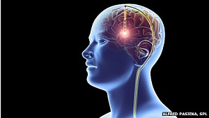 Глубокая стимуляция мозга предотвратит анорексию