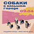 Благотворительная акция Собаки в большом городе в Tilda Food&bar