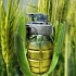 ГМО: панацея или оружие массового поражения? часть 1
