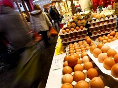 За дешевые продукты немцы расплатились диоксиновым скандалом