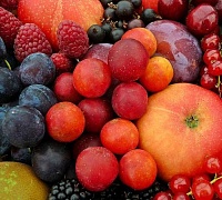 Минеральные вещества в плодах и ягодах