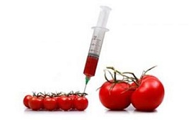 Москва и ГМО: особая ситуация