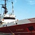 Лов рыбы в Азовском море запретили из-за холеры 