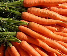 Приснилась морковь