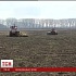 Украина рискует лишиться урожая из-за массовой подделки семян и пестицидов