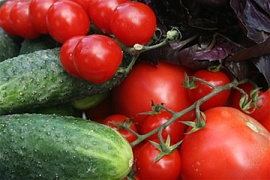 Огурцы и помидоры в Украине подскочили на 80% в цене за неделю