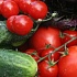 Огурцы и помидоры в Украине подскочили на 80% в цене за неделю