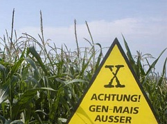 Защита прав потребителя ГМО в суде