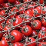 Расшифрован геном помидоров