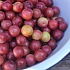 Кисель, кайсаба и морс из алычи