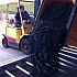 Промышленный дегустатор винограда