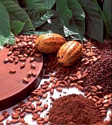 Какао - продукция 