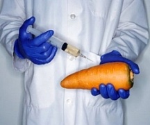В Украине назвали продукты, где чаще всего встречаются  ГМО