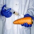В Украине назвали продукты, где чаще всего встречаются  ГМО