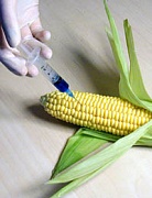 ГМО оружие против нас!