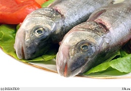 Общие принципы хранения и приготовления рыбы