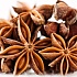 АНИС, ANISE