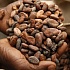 Мировые цены на какао упали до минимума за 10 месяцев
