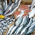 Евросоюз запрещает импорт рыбы из Азии и Африки из-за браконьерства