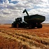 Причины потери урожая в России