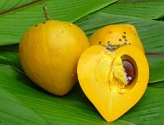 Канистель (Яичный фрукт)