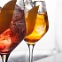 Prosecco Bar PR11: самая большая подборка спритцев в Москве