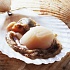 Морские гребешки - моллюск-деликатес