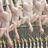Украина через месяц начнет экспорт курятины в Европу