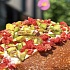 EGGSELLENT и UNAGRANDE запустили итальянские спешл-завтраки, которые можно всем