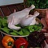 Птицефабрики выступили против запрета на замороженное мясо птицы 