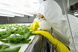 Теперь украинцы знают, как регистрировать ГМО