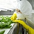 Теперь украинцы знают, как регистрировать ГМО