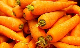 В Орске двое рабочих задохнулись газом от гниющей моркови