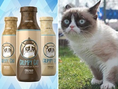 Grumppuccino от Сердитого котика