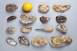 UMI Oysters — устричное бистро на Центральном рынке