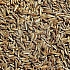 ТМИН, CARAWAY